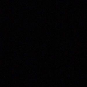 Meet your Posher, Raven